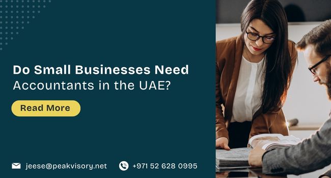 Do Small Businesses Need Accountants in the UAE?